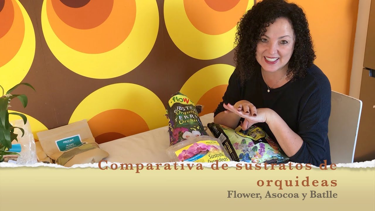 Comparativa de 3 mezclas comerciales de sustrato de orquídeas. Flower, Asocoa y Batlle.
