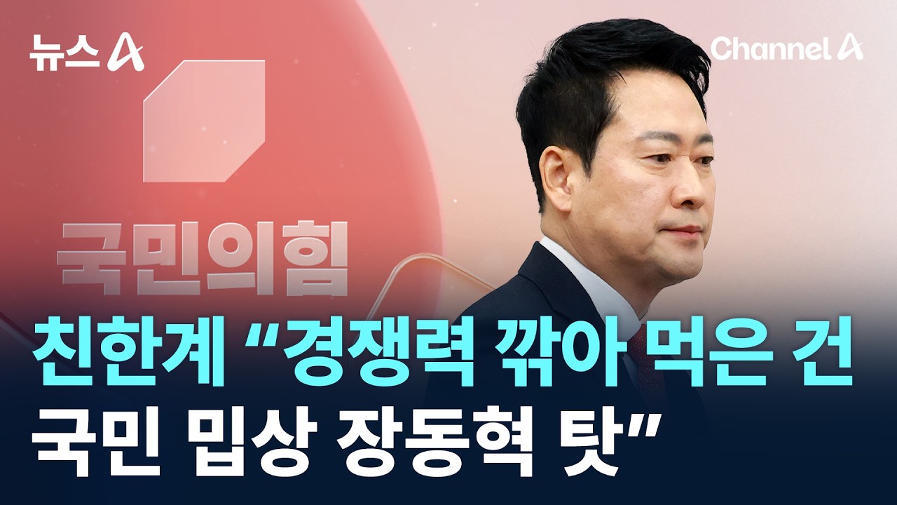 친한계 “당 경쟁력 깎아 먹은 건 국민 밉상 장동혁 탓” / 채널A / 뉴스A