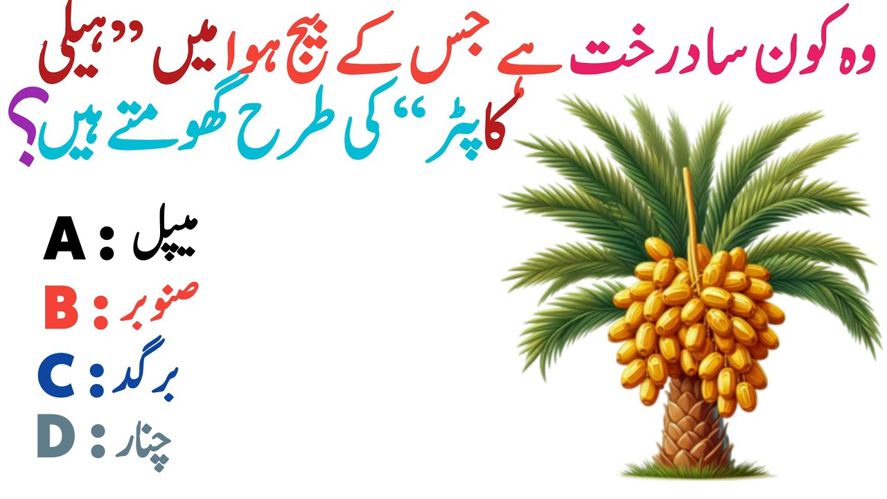 GK Video || GK Video In Urdu || GK Video Question And Answer|| GK Quiz || GK SHAKEEL