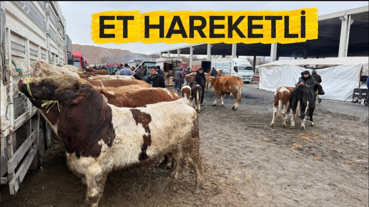 KIRIKKALE HAYVAN PAZARI 13 OCAK 