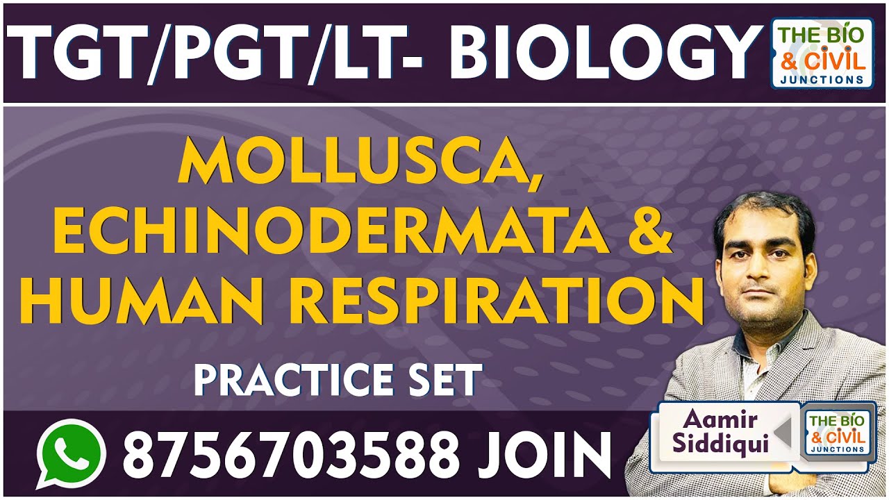 TGT/PGT - LT BIO || MOLLUSCA, ECHINODERMATA & HUMAN RESPIRATION (PRACTICE SET) || Aamir Sir || TB&CJ