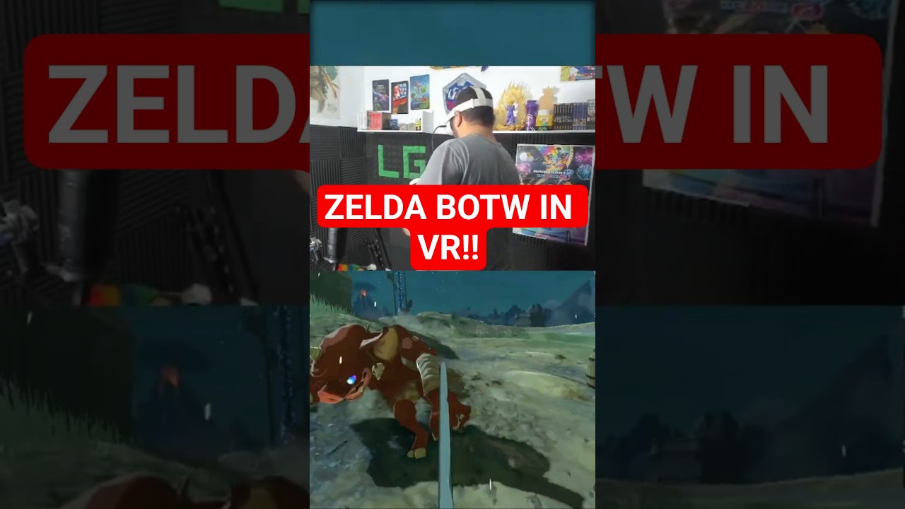 POV Dummer Bokoblin vs Last in VR! 
