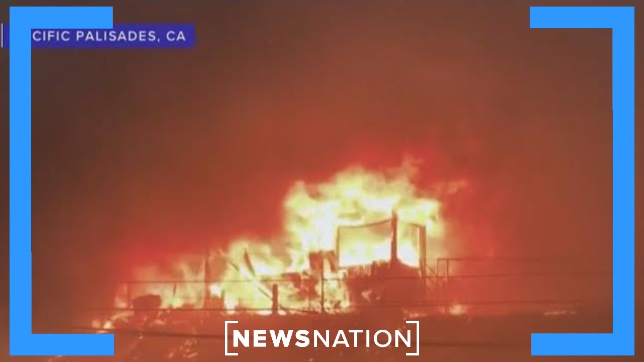 LA fires: Why did State Farm cancel 70% of Palisades policies? | Dan Abrams Live