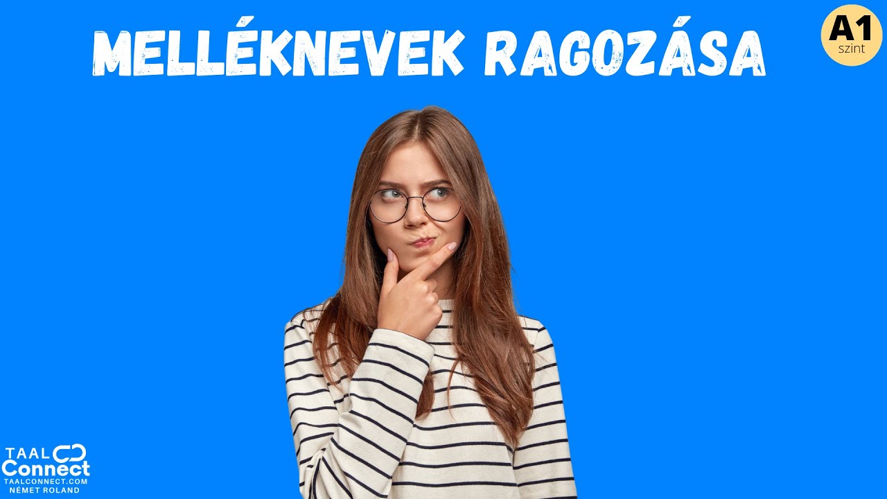 Melléknevek ragozása - Holland nyelvtan