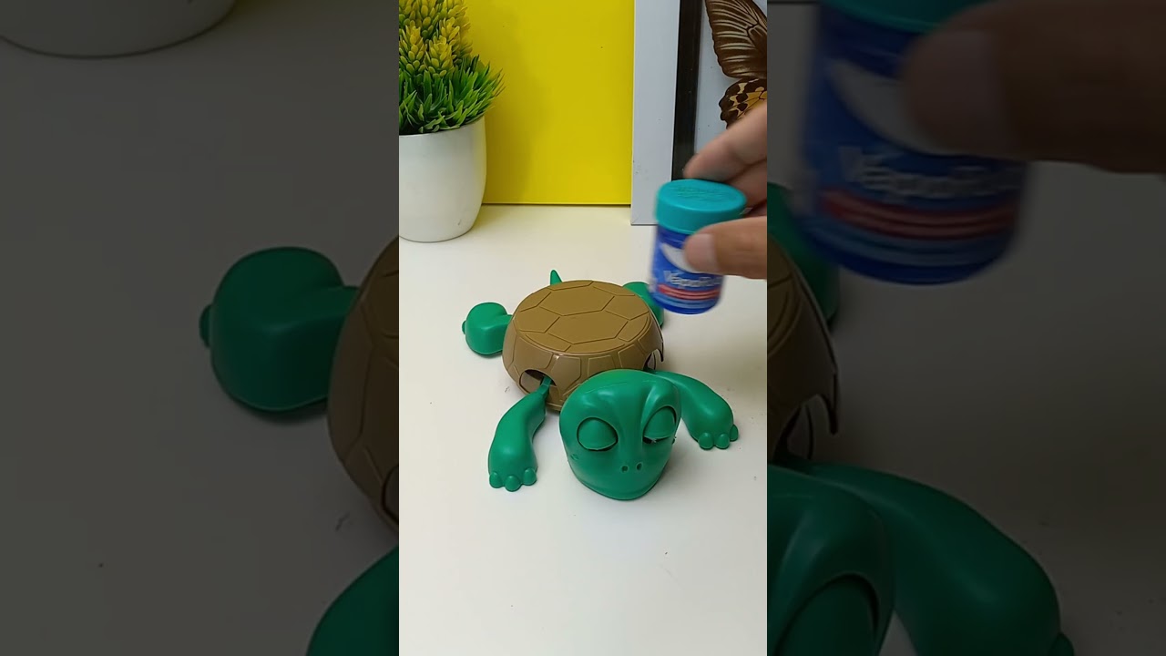 Cute adorable turtles - Turtle coaster #turtle #coaster #turtlecoaster #fyp #fun #gift part188