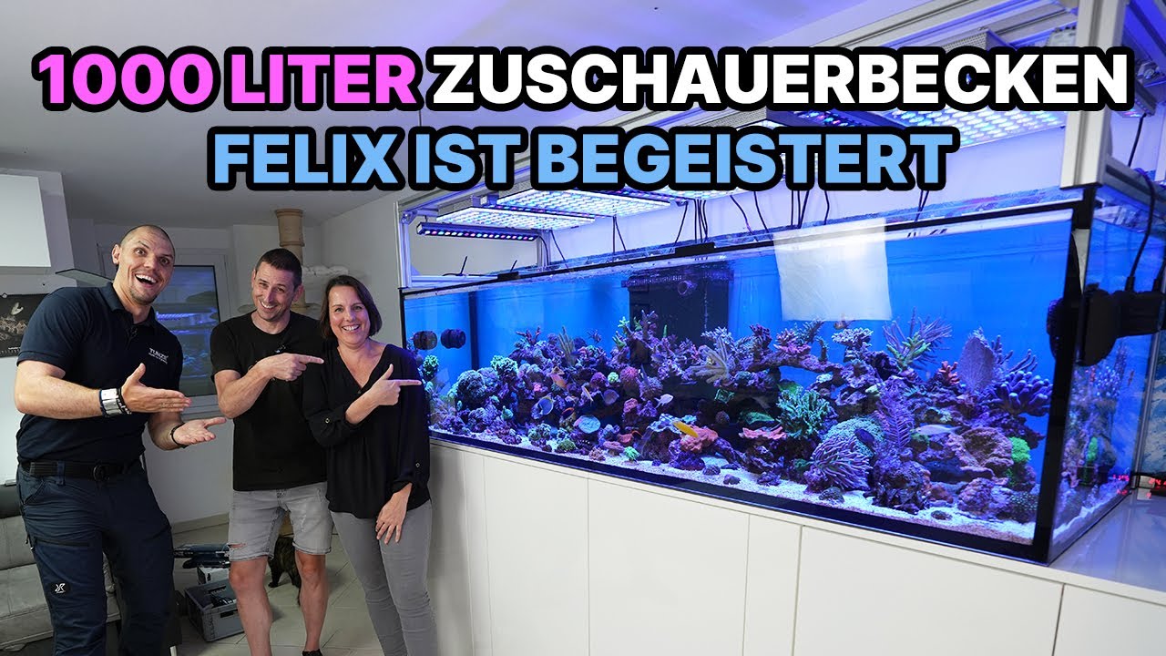 1000 LITER PRIVATAQUARIUM von Lehrern - Felix besucht Zuschauer!