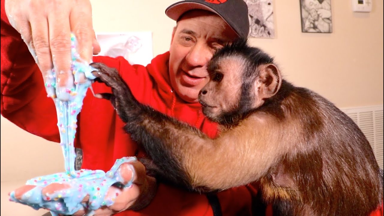 Обезьянка играет со слизью!