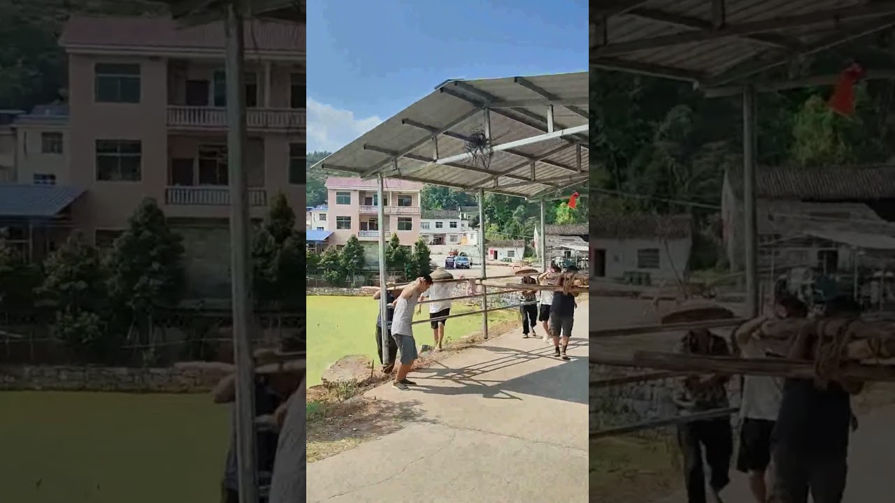 The process of multiple people working together to carry the tin shed
