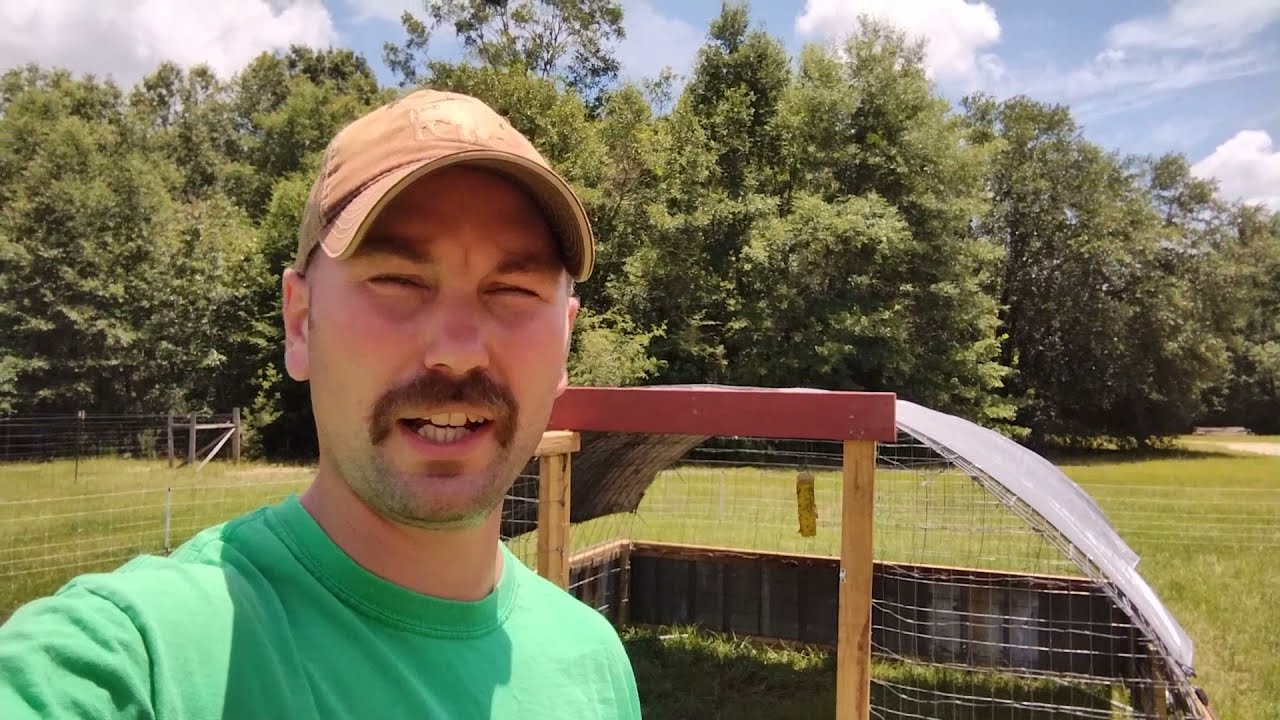 Pig Tractor Build