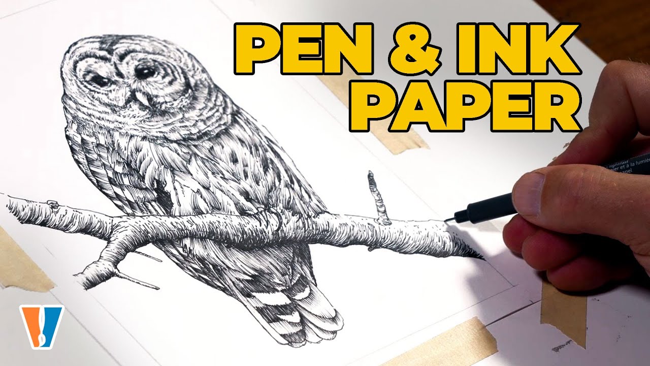 Pen and Ink Paper - Owl Drawing