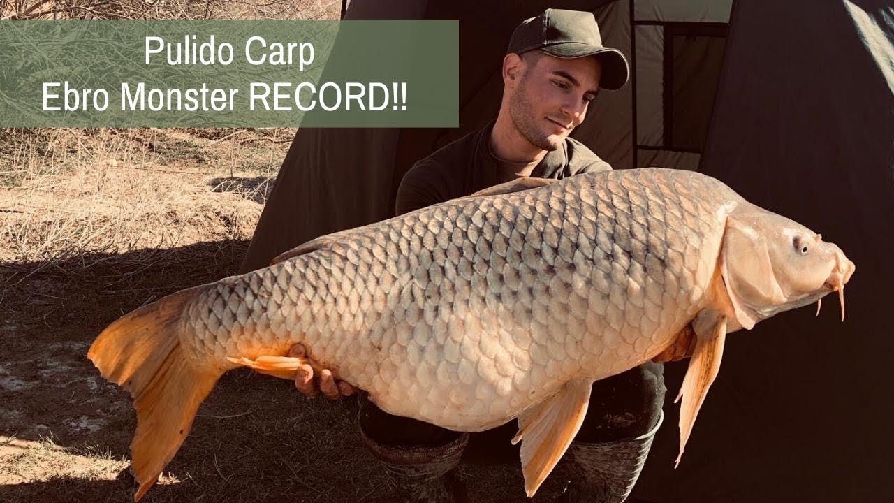 CARPFISHING ESPAÑA 💥Ebro Monsters RECORD!!!!!!💥