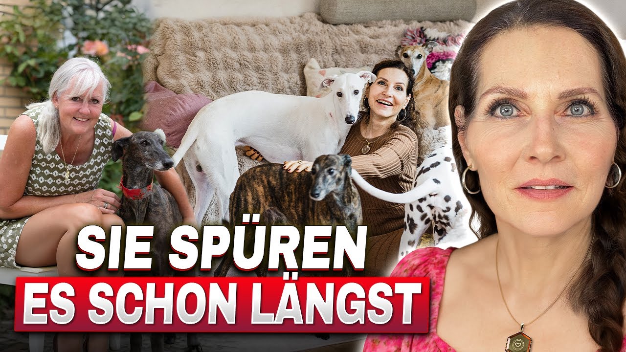 Galgos & Neue Erde | Wie wir Licht in die dunkle Welt bringen