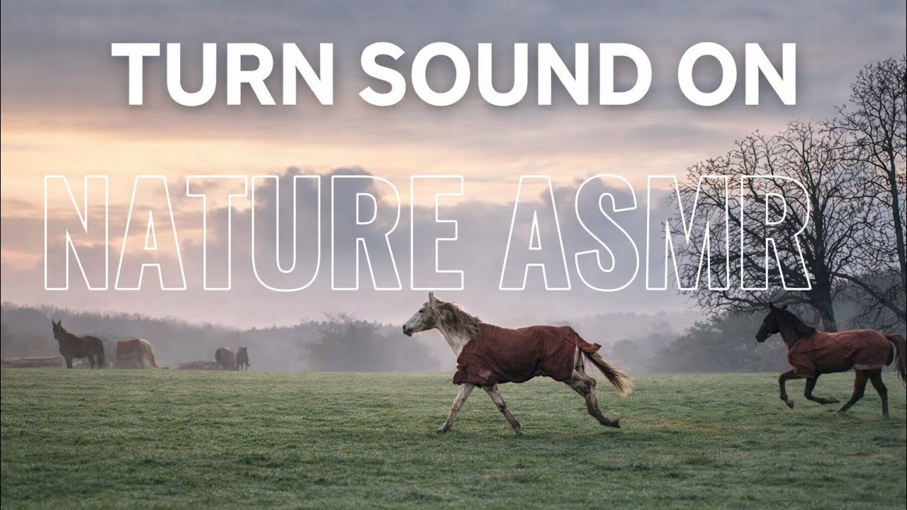 Come Along With Me for a Morning Walk Among Horses#equestrianjourney 