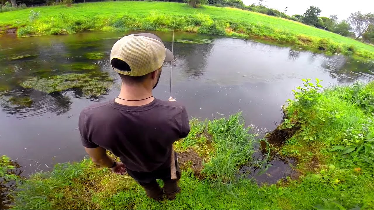 Fishing with Supermarket Bread - Unreal Session!