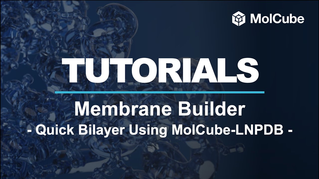 03. Membrane Builder - Quick Bilayer Using MolCube LNPDB