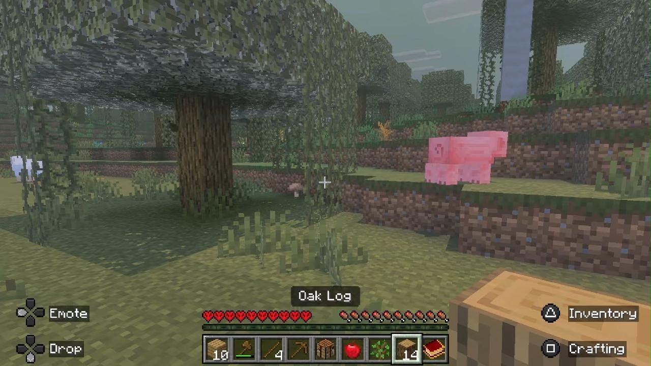 Minecraft hardcore