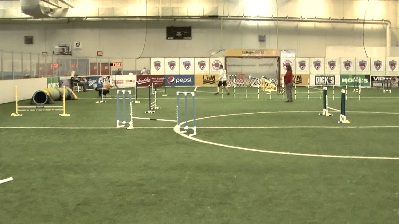 Visa JWW Hounds 12 5 2015