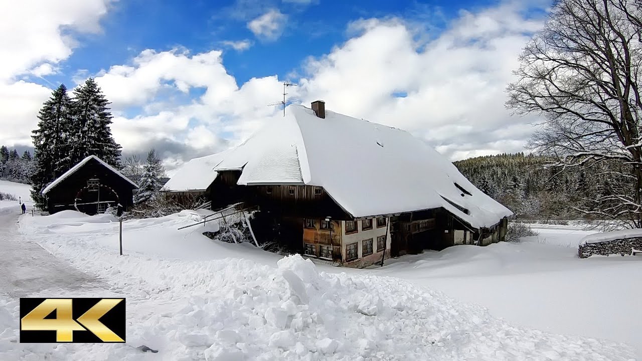 Winterwanderung - von Titisee nach Hinterzarten | Hochschwarzwald 🇩🇪