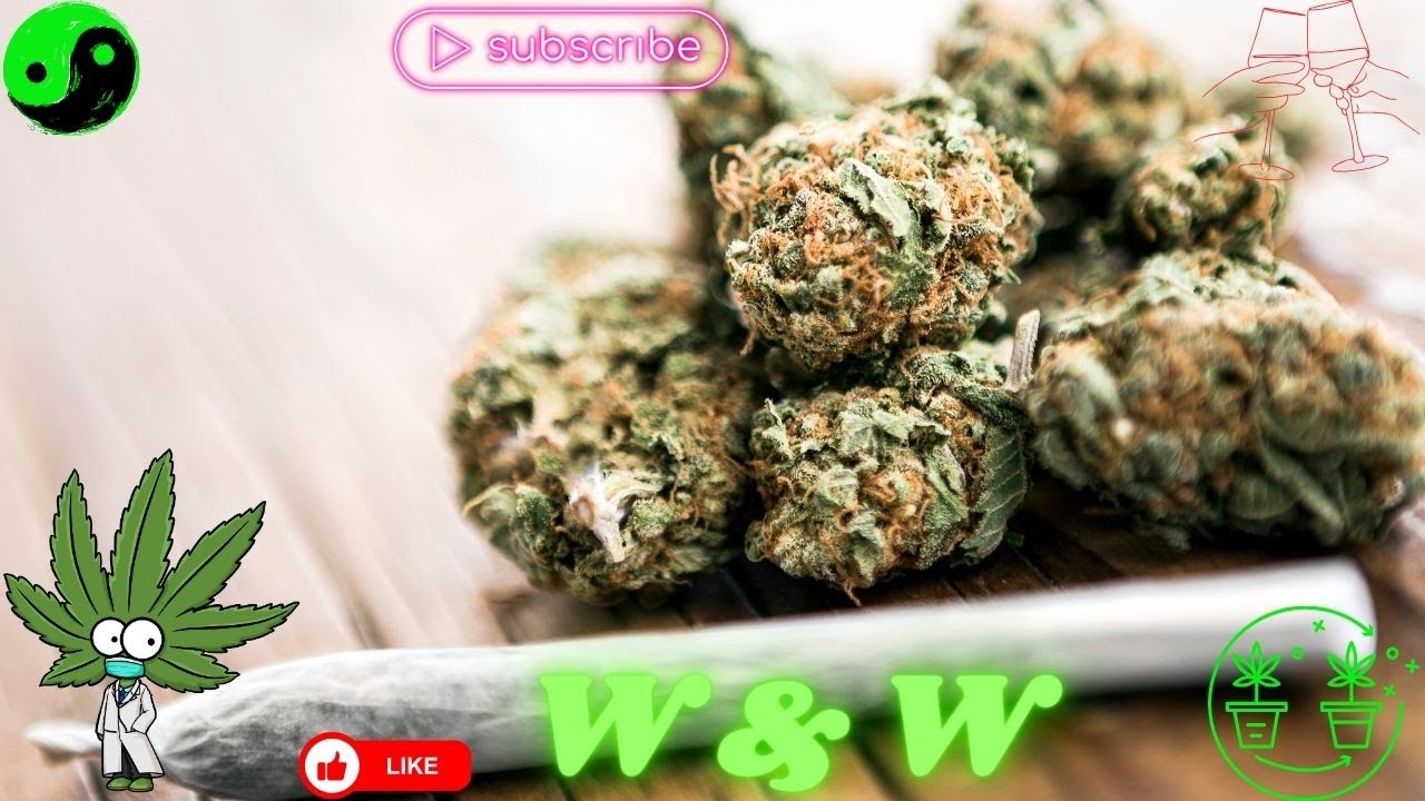 Weed & Wine S3 Cannabis review
