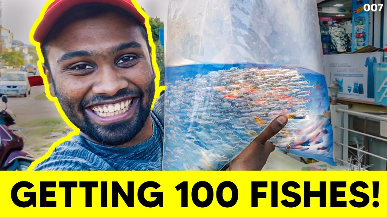 Getting 100 fishes...Gone wrong..! | Vijay viruz