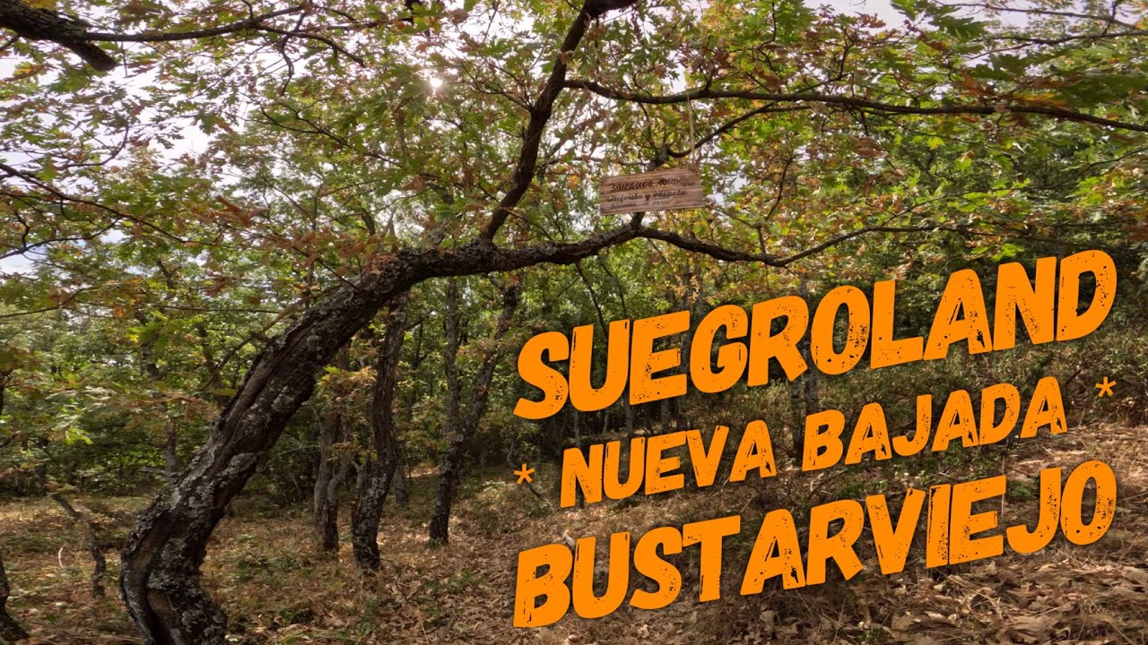 🚵&zwj;♀️⛰ Suegroland🔺 | Bustarviejo (Madrid) | Enduro MTB | FOCUS SAM2