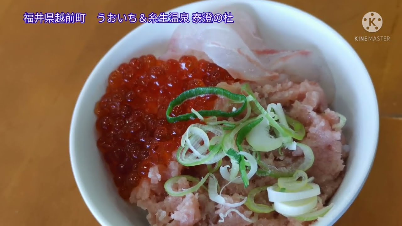 2022.5.20福井県越前町うおいち＆糸生温泉 泰澄の杜　海鮮食べ放題　ドライブ　日帰り温泉　時期によって料金が違うので行く前にお問い合わせして下さいね。