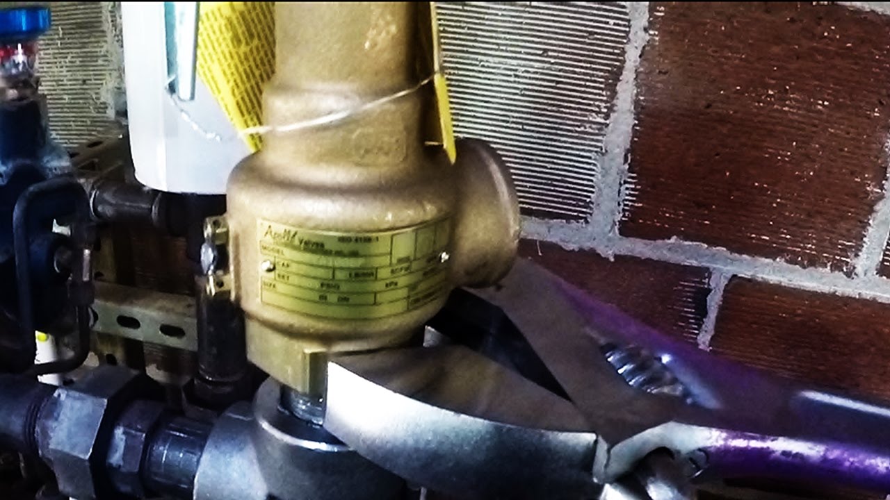 Safety relief valve