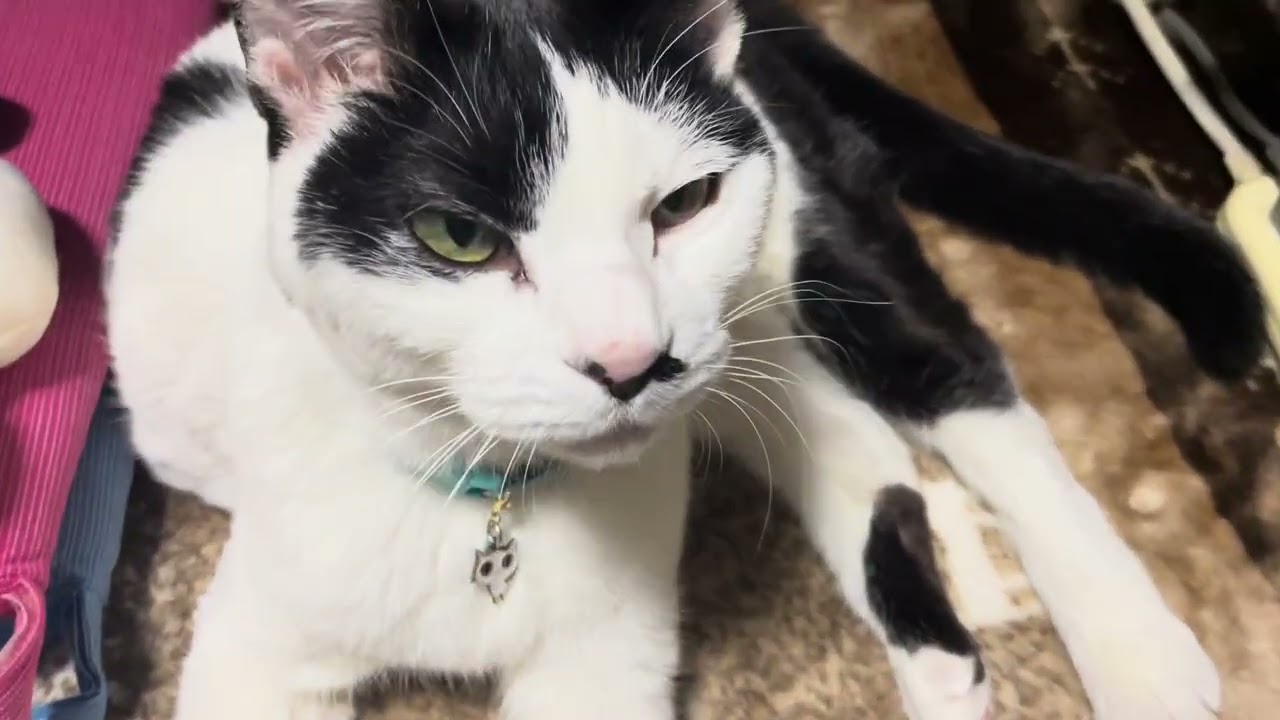 手🖐️がヘン