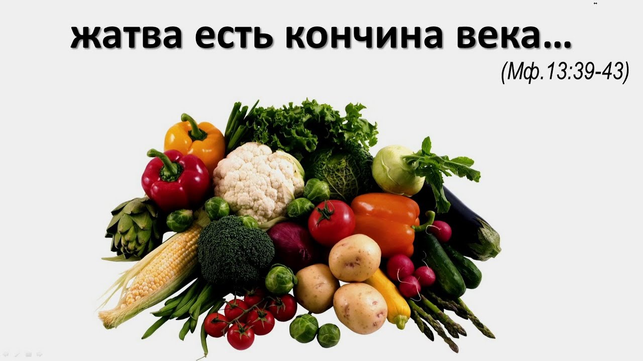 «Жатва есть кончина века» — Проповедь Игорь В. Требушной