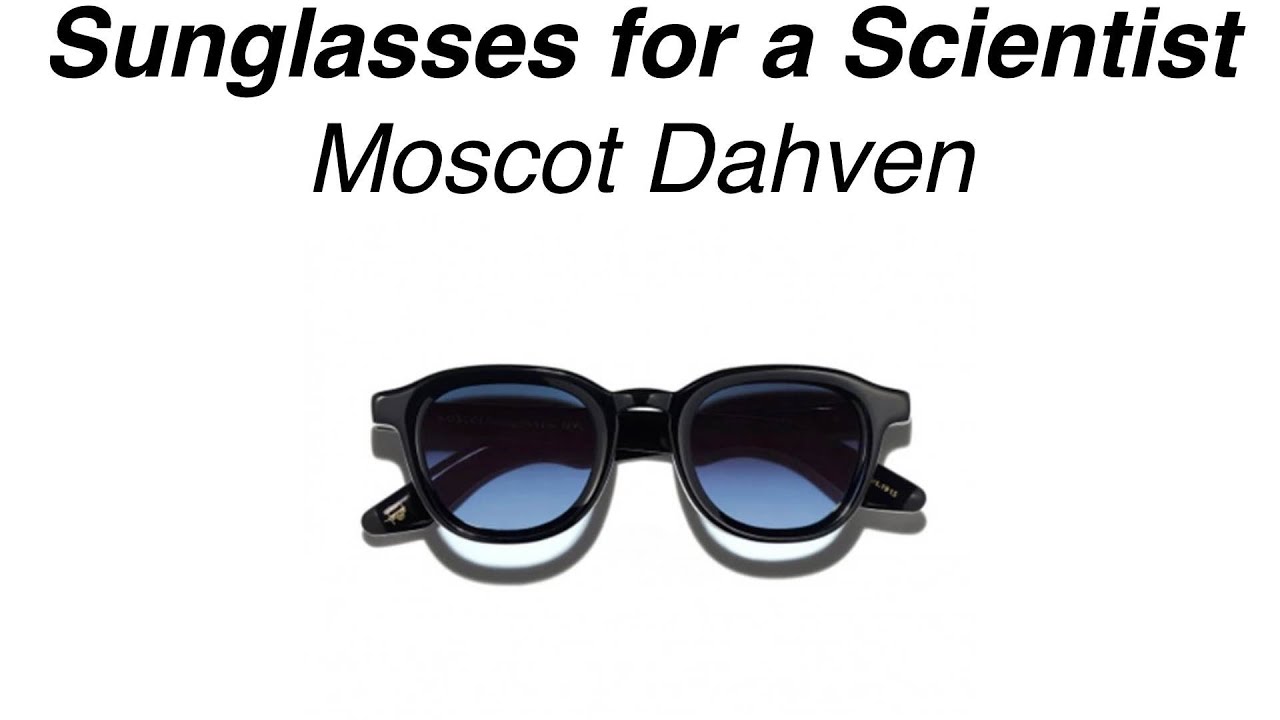 Sunglasses for a Scientist (Occhiali da Sole per uno Scienziato): Moscot Dahven Sun