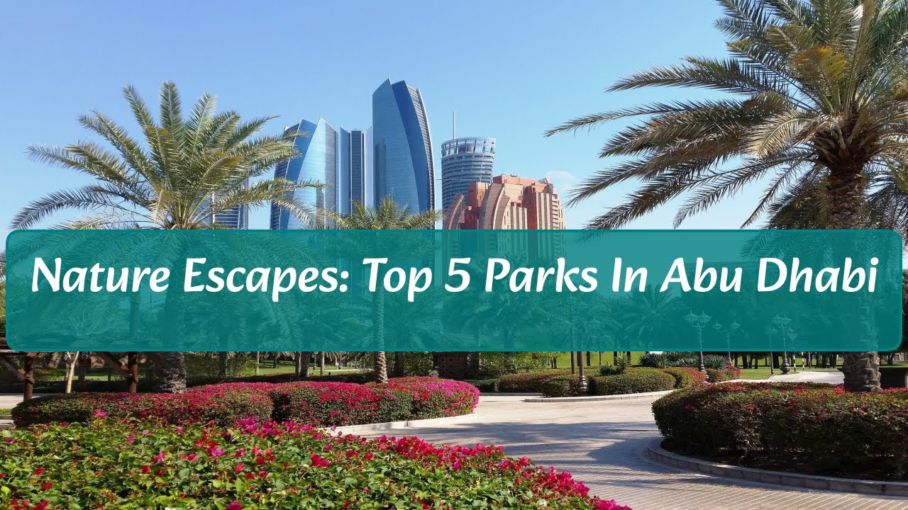 Nature Escapes: Top 5 Parks in Abu Dhabi