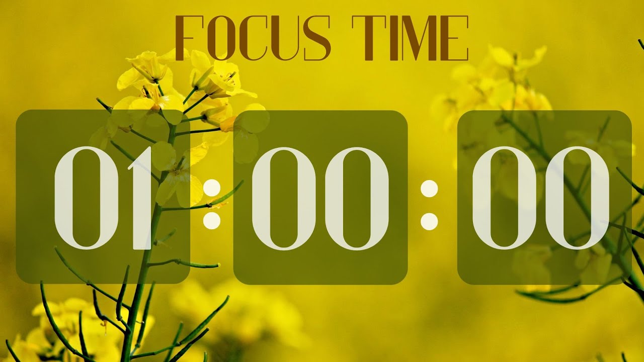 Đồng Hồ Đếm Ngược 1 Giờ 🧡 Focus Timer 🧡 Yellow Flower Background 🧡 ASMR Tick Tock | Tập Trung Sâu