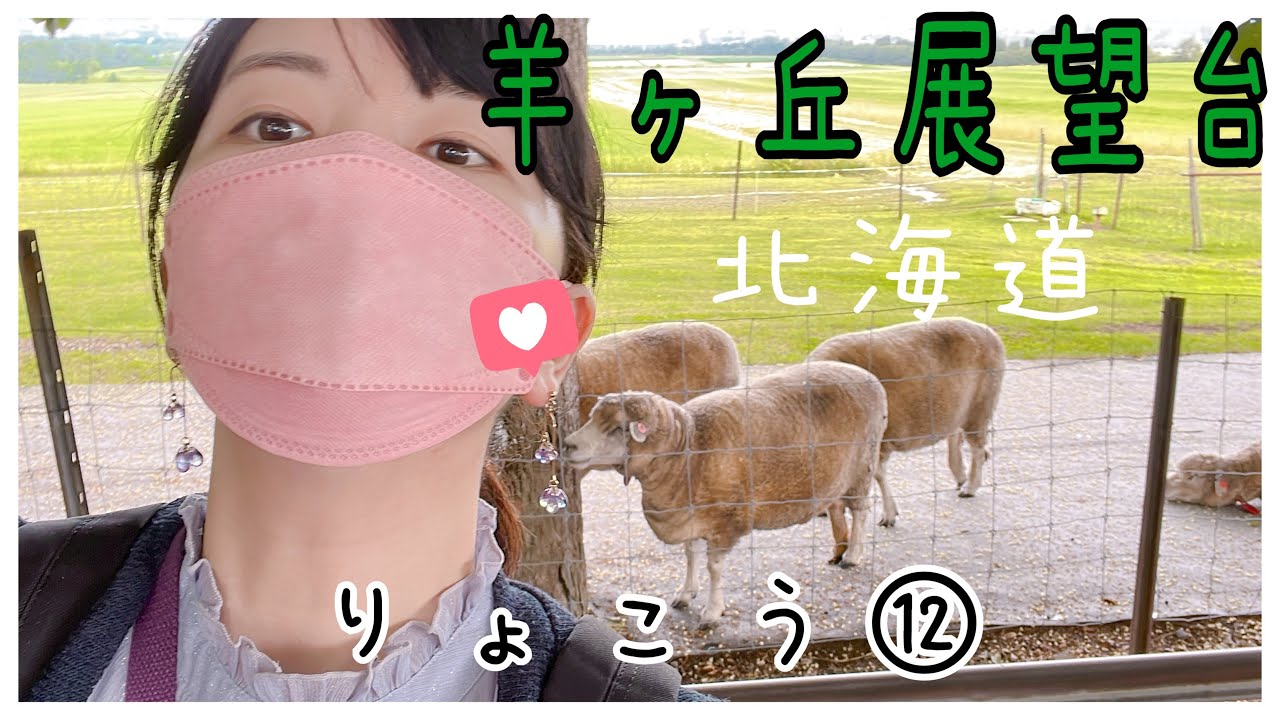 北海道りょこう⑫夏旅log[札幌] 羊ヶ丘展望台❗️✨とんがりコーンみたいな色の羊と触れ合える札幌ドーム近くのおすすめビュースポット！🐏vlog