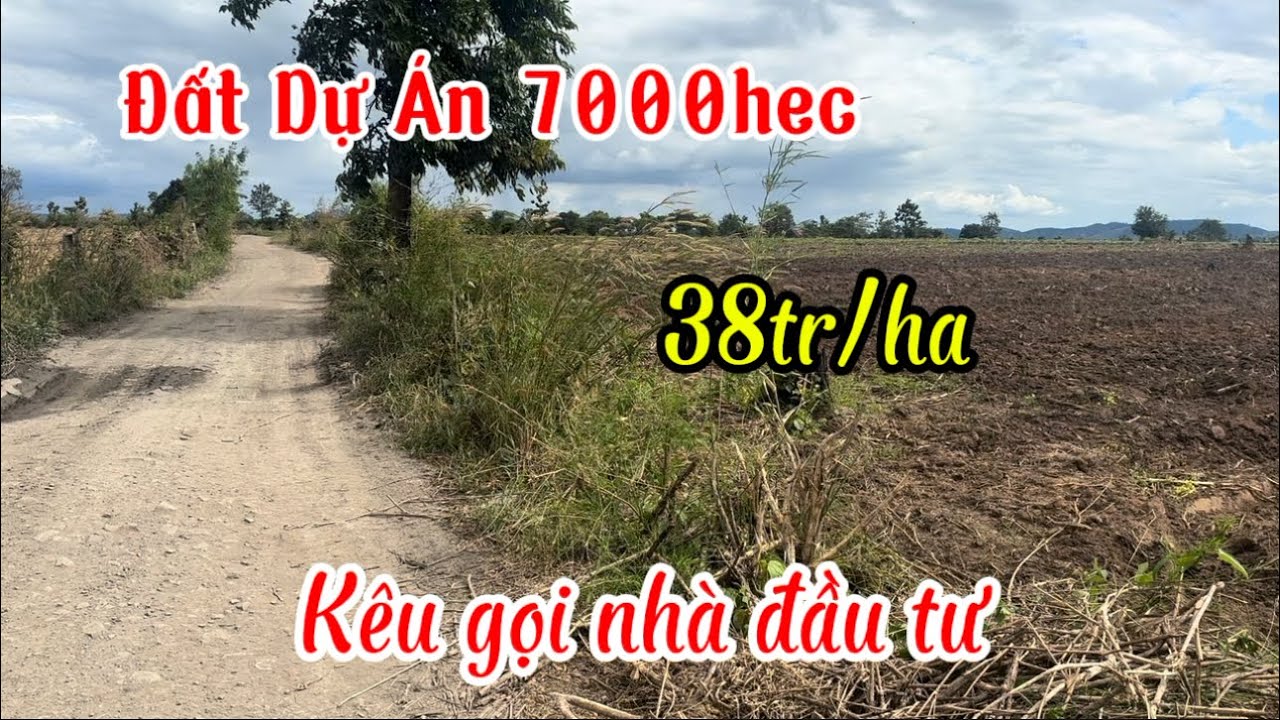 Đất Dự Án 7000hec kêu gọi nhà đầu tư chỉ 38tr/ha