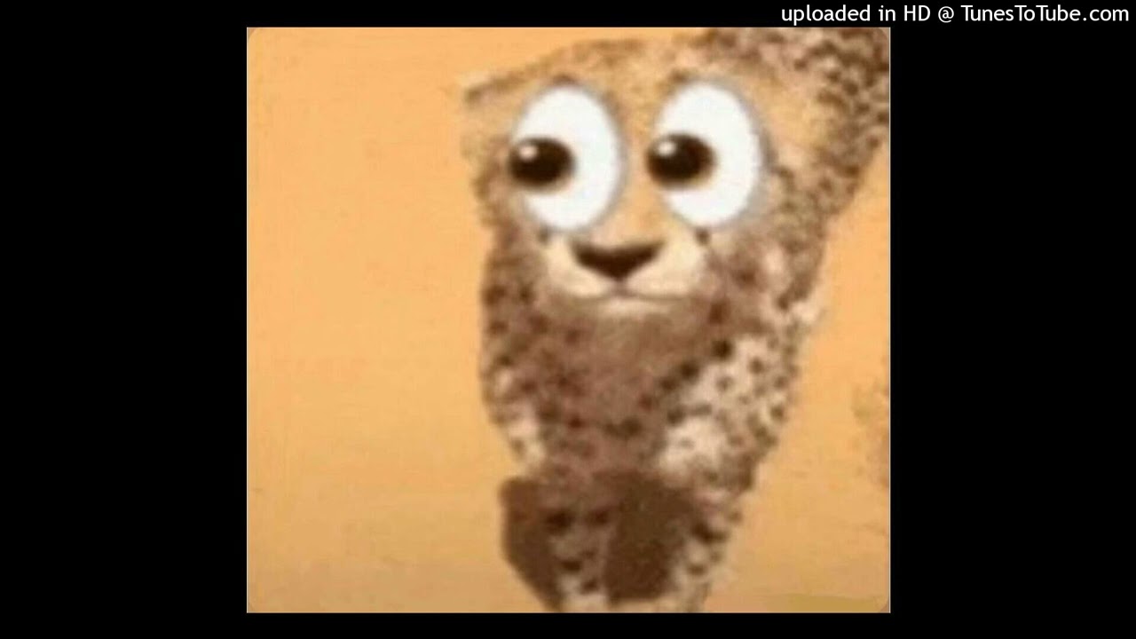 wtf