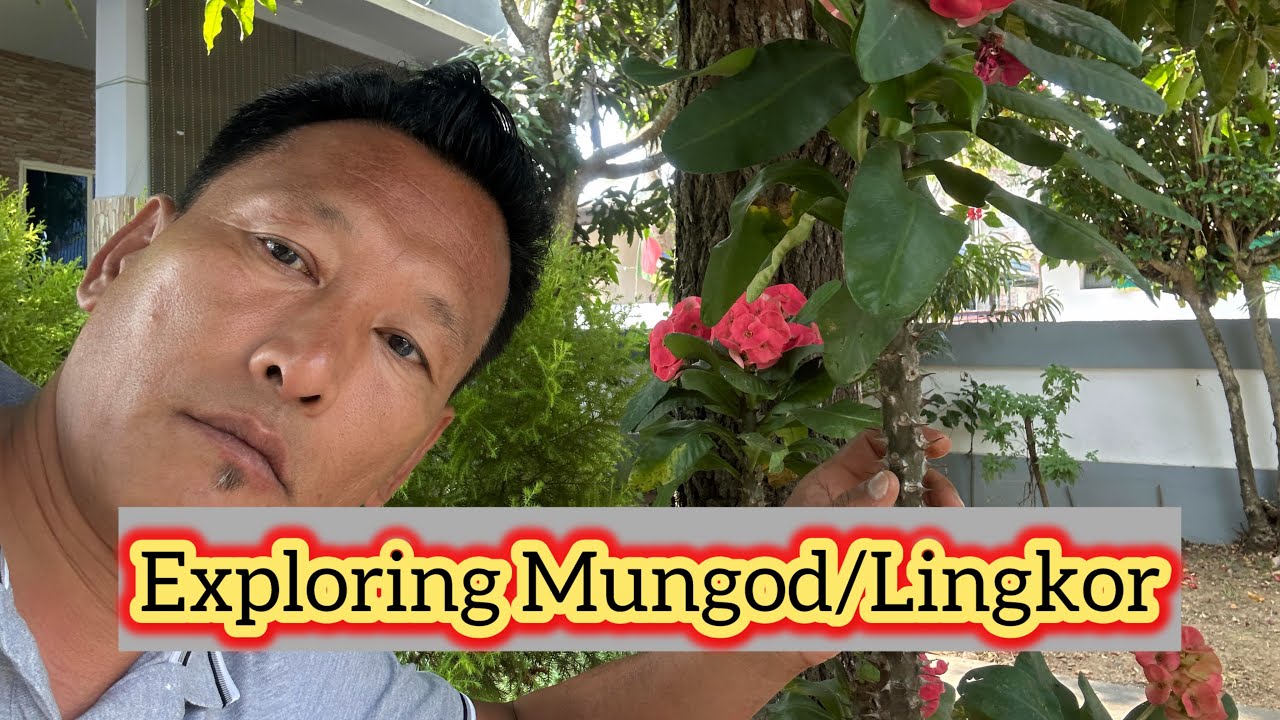 Exploring Mungod /Lingkor  @Lharden77 #tibetanvlogger #india #vlog #love #blessed 