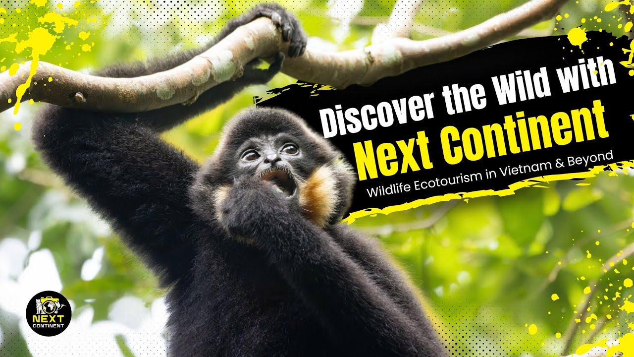 Discover the Wild with Next Continent | Wildlife Ecotourism in Vietnam & Beyond