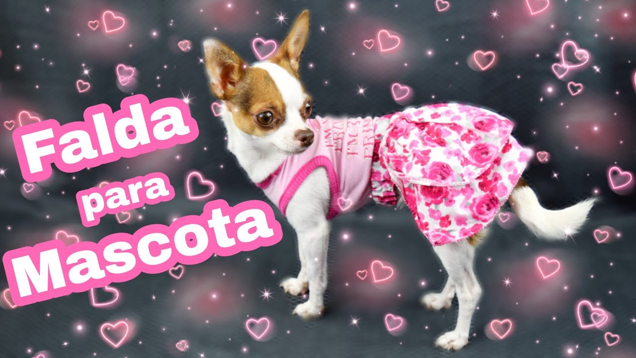 *DIY* Falda coqueta para mascota