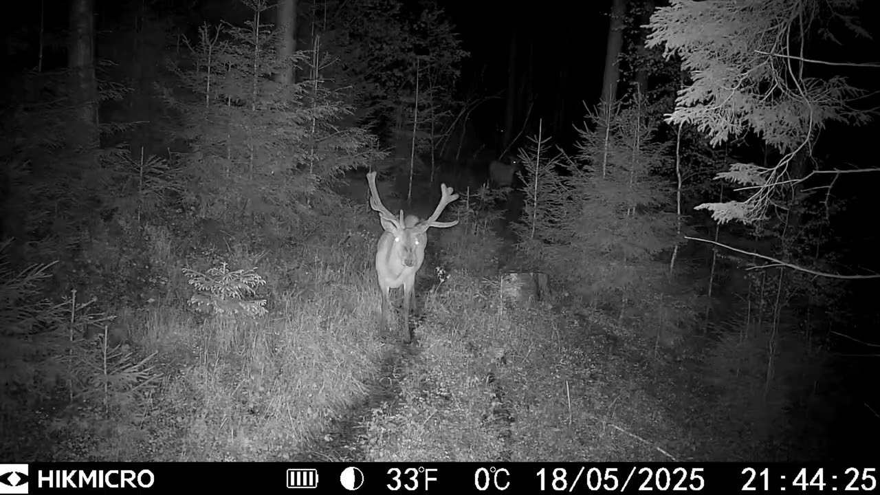 FOTOPASCA NA HORSKÝCH CHODNÍKOCH | HIKMICRO M15 | ORAVA 