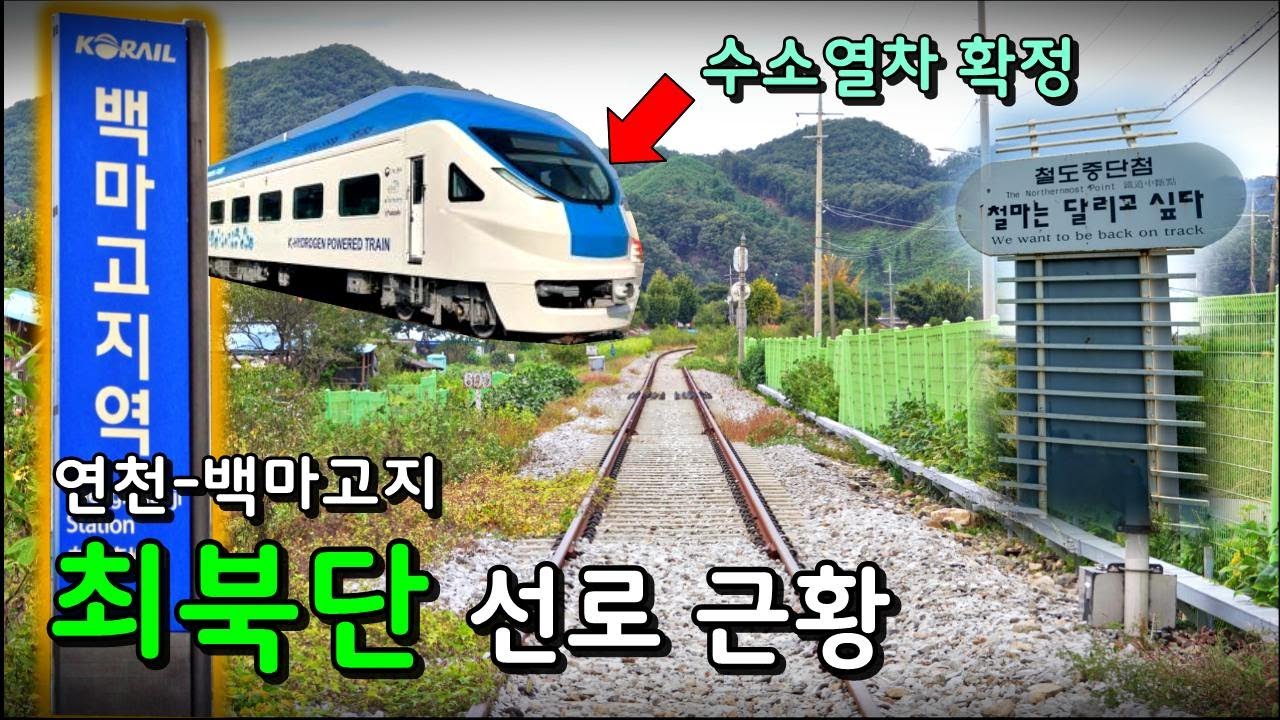 국내 첫 수소열차 투입 확정? 무려 6년째 방치중인 