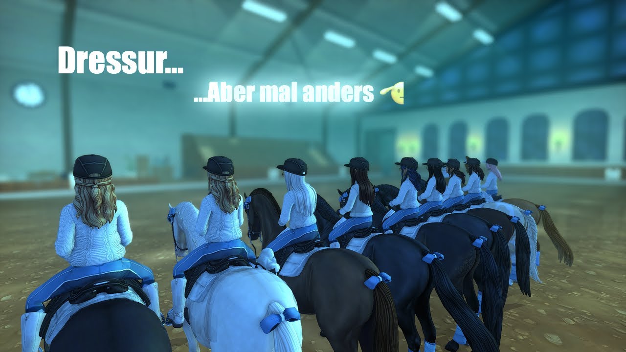 WENN NORMALE DRESSURTREFFEN LANGWEILIG WERDEN.. 🥳🤠