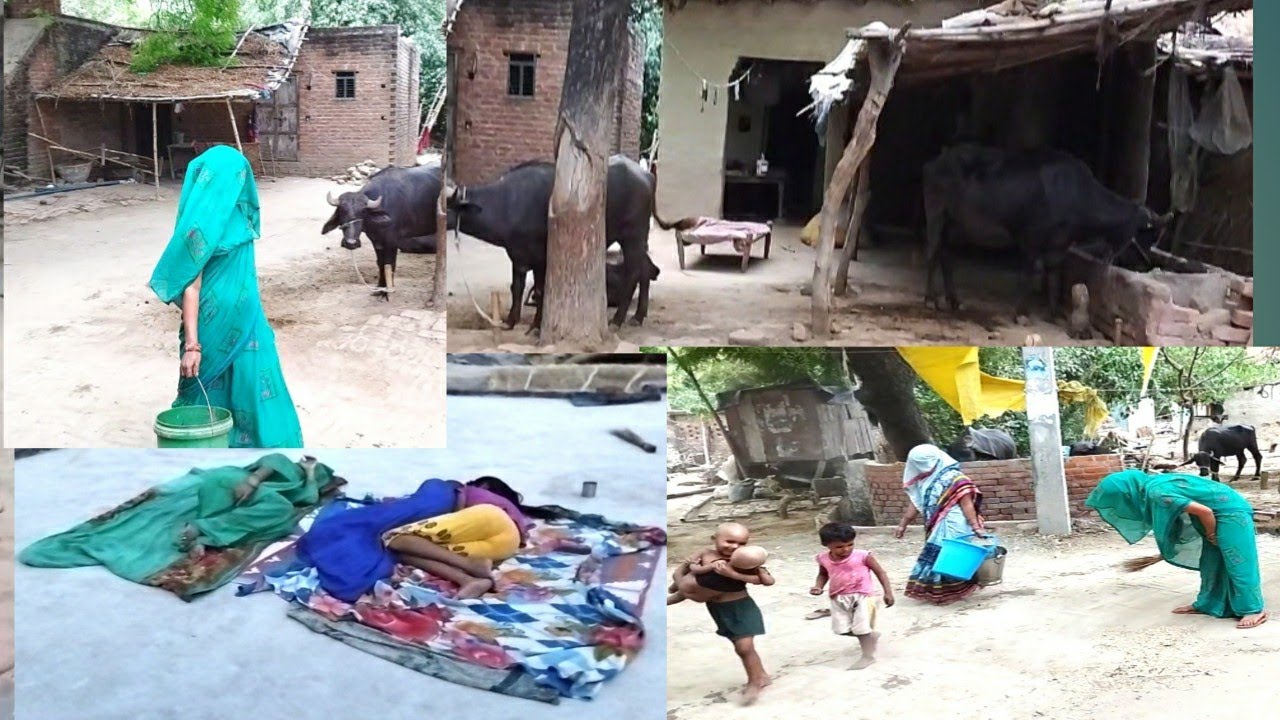 🌄गाँव की सुनहरी सुबह ...iIndian Village Natural  Morning Deli ruteen.. Villege life Up...#indian