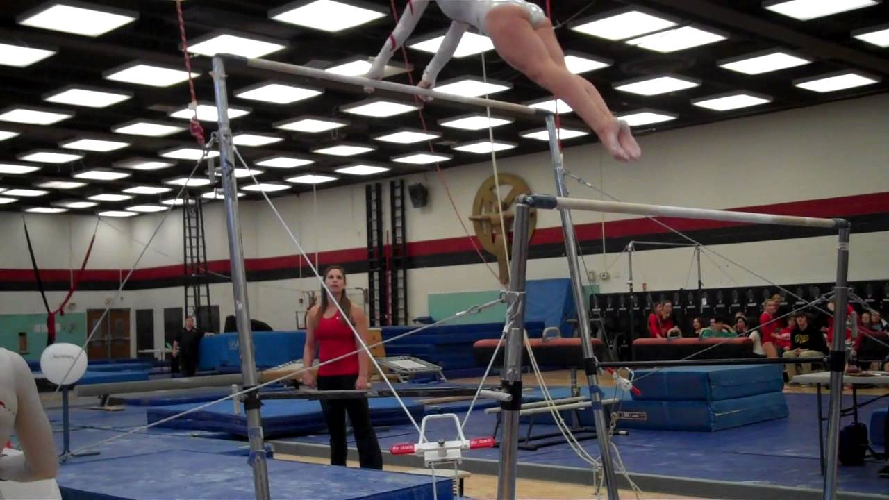 Shelby Vertes Bars