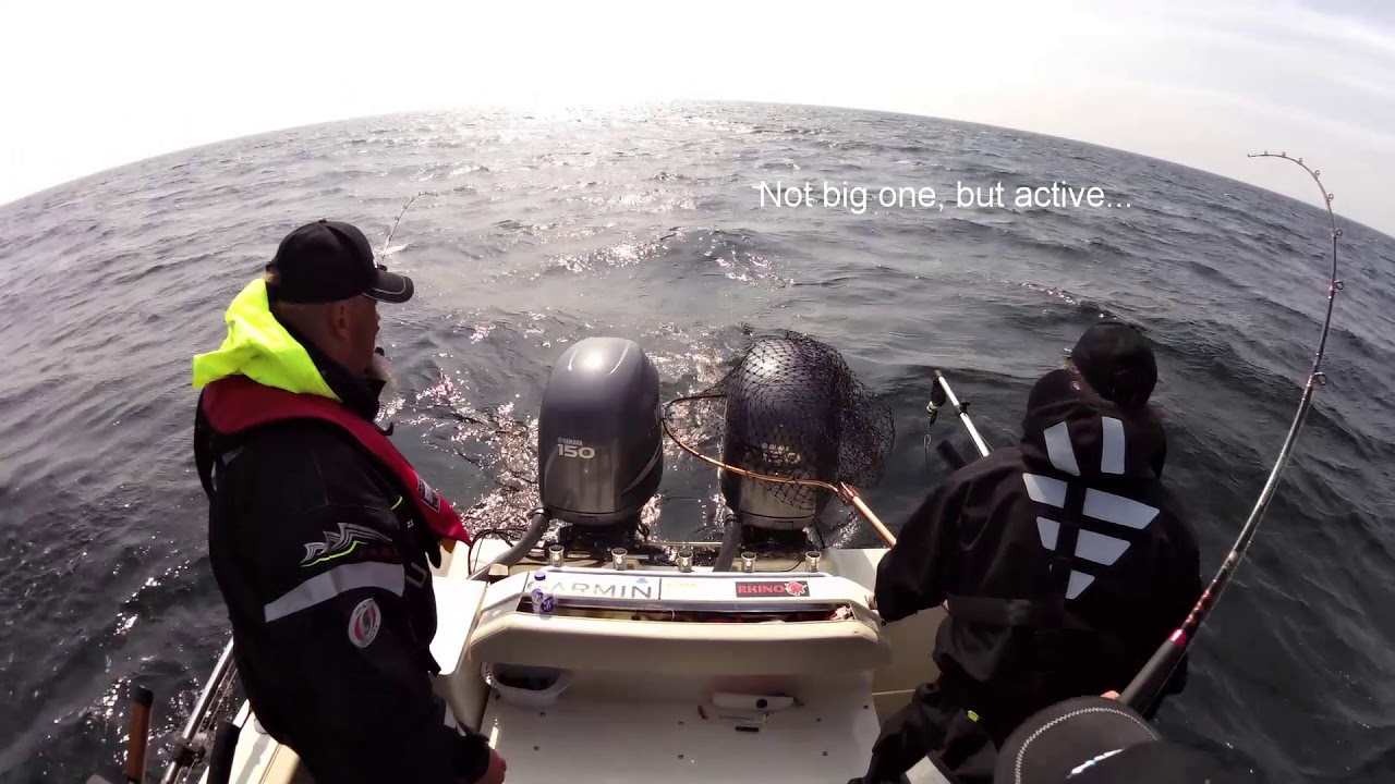 Salmon Trolling Bornholm 2018