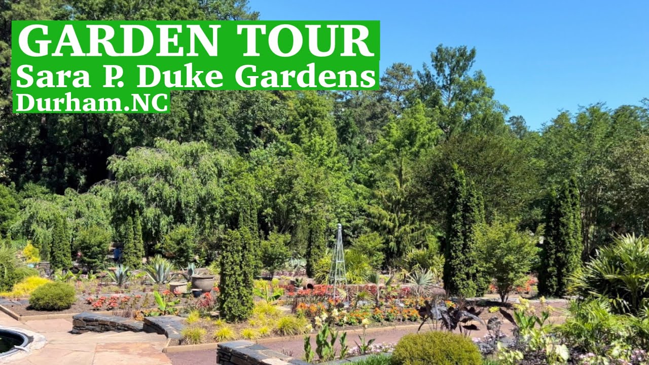 A SELF-GUIDED TOUR of Sara P.Duke Gardens In Durham, North Carolina. Local Garden Tour. Acorn Hill