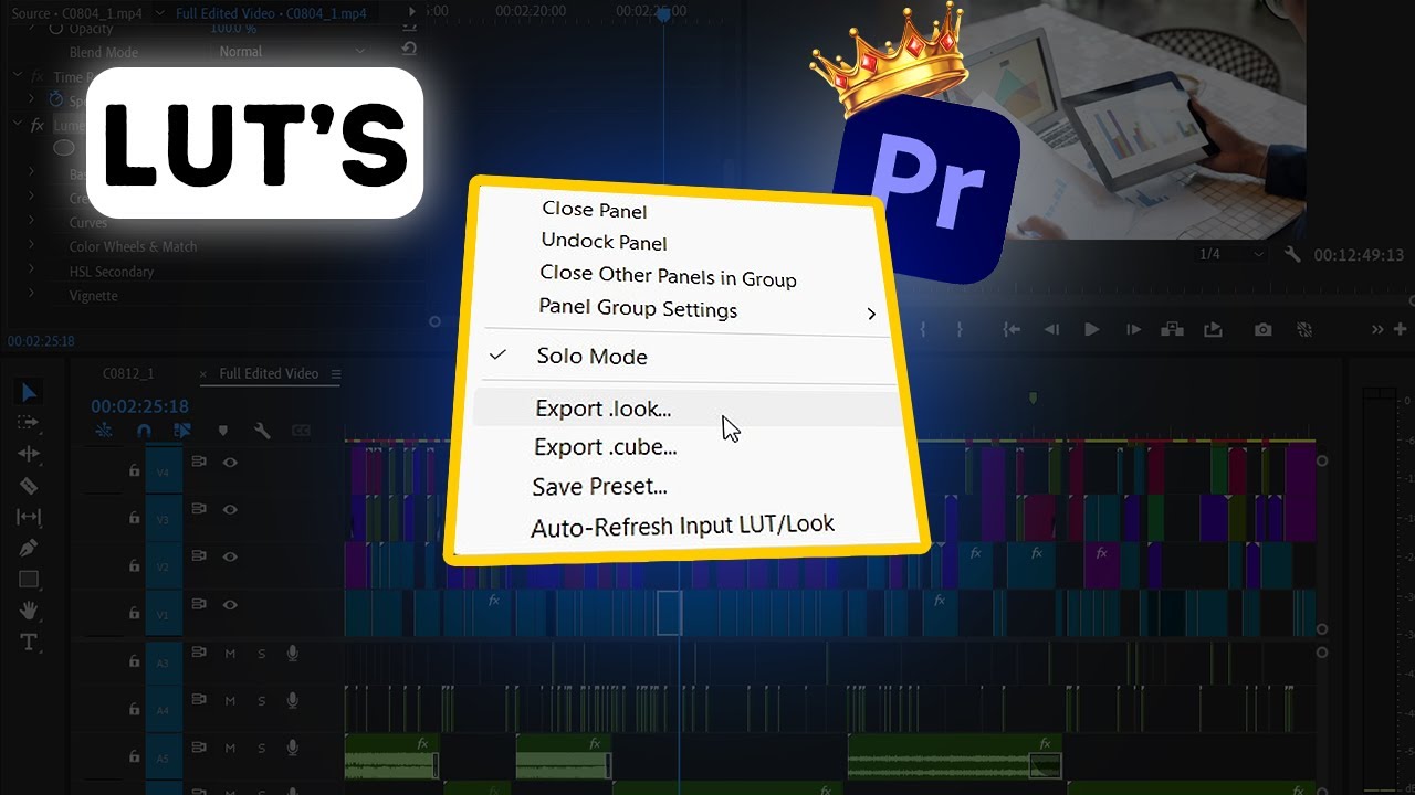 How To Export Custom LUT in Adobe Premiere Pro? (Beginners Tutorial)