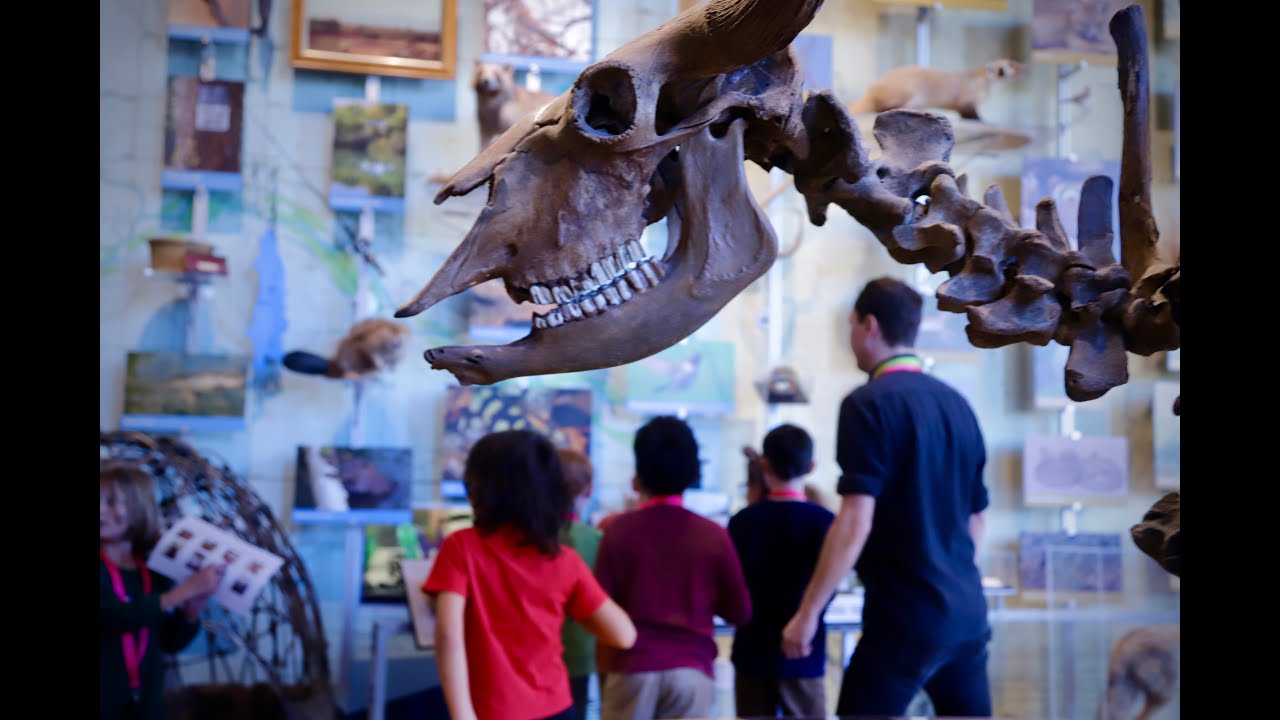 Impact Film Fort Collins Museum of Discovery 2023 1080p