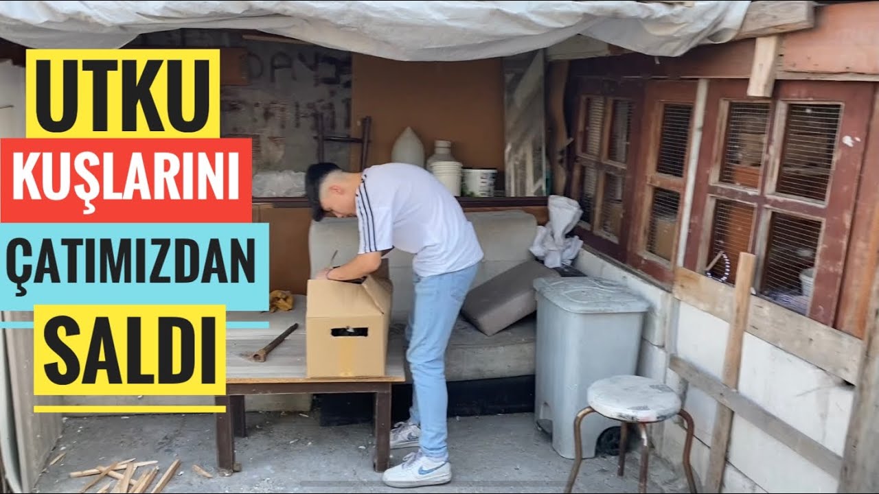 UTKU BÜTÜN UÇAN KELEBEKLERİNİ ÇATIMIZDAN SALDI. KUŞLARI KALKIP GİTTİMİ? KALDIMI?