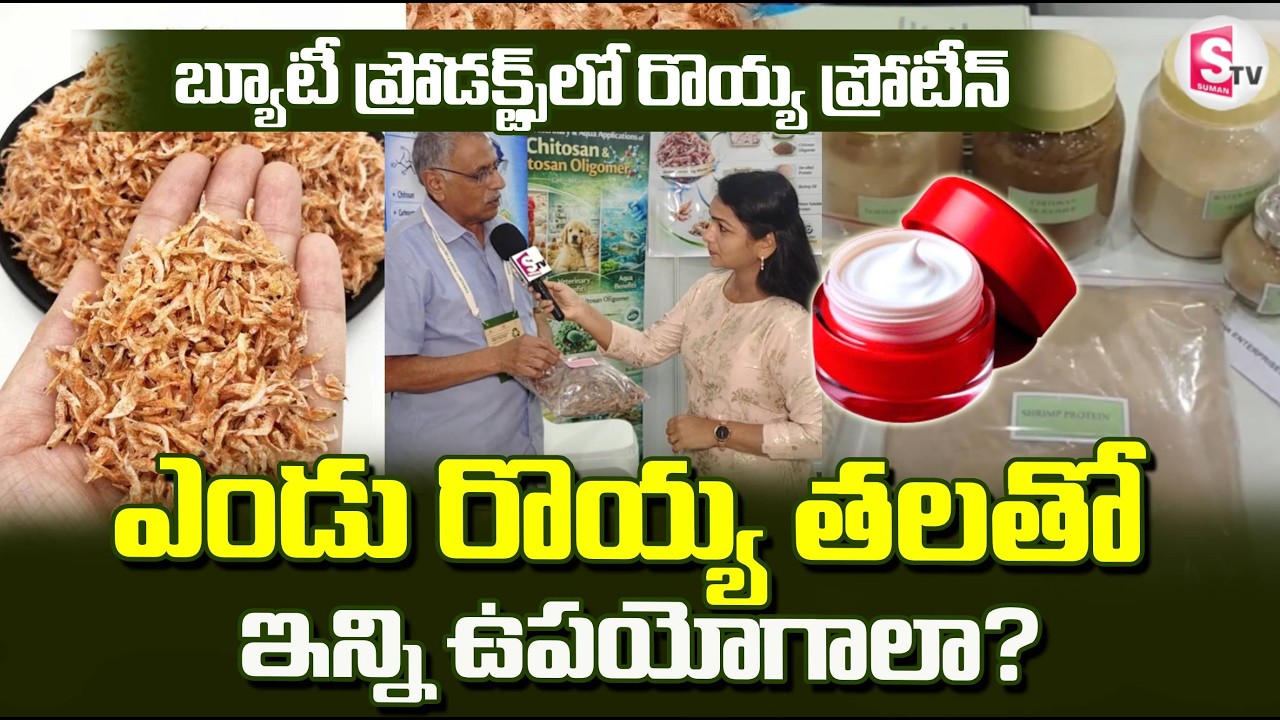 రొయ్య తల తో ఇన్ని ఉపయోగాలా?| Benefits of Shrimp Extract in Skincare & Haircare Products