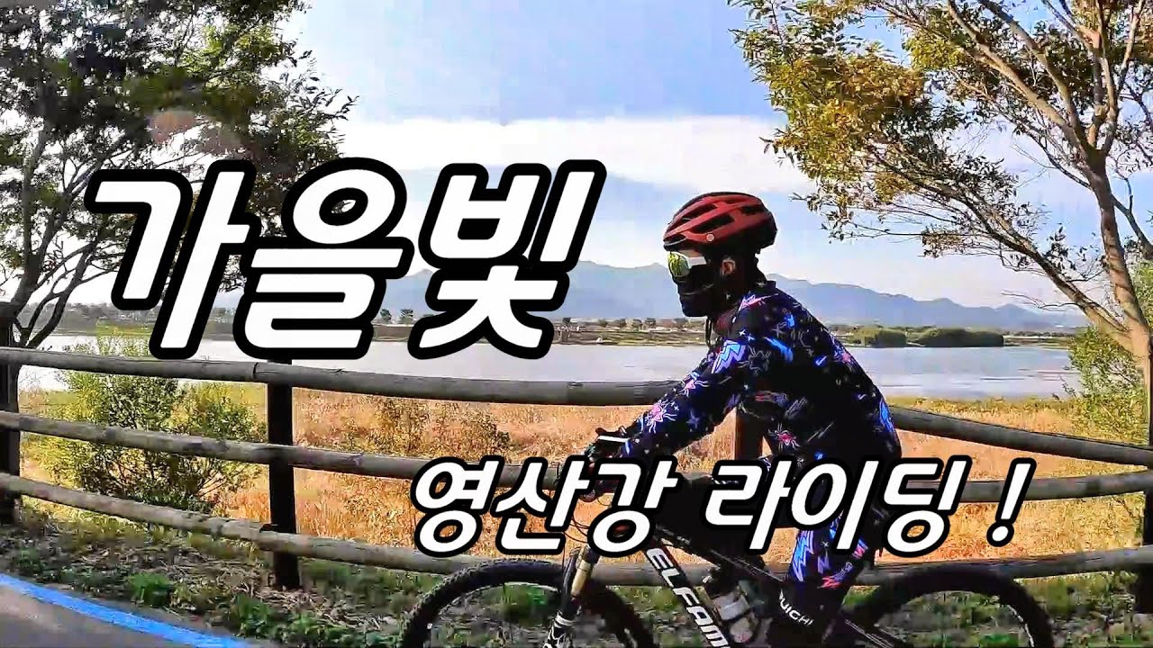 가을빛 라이딩 #영산강라이딩 #담양라이딩 #플라타너스숲길